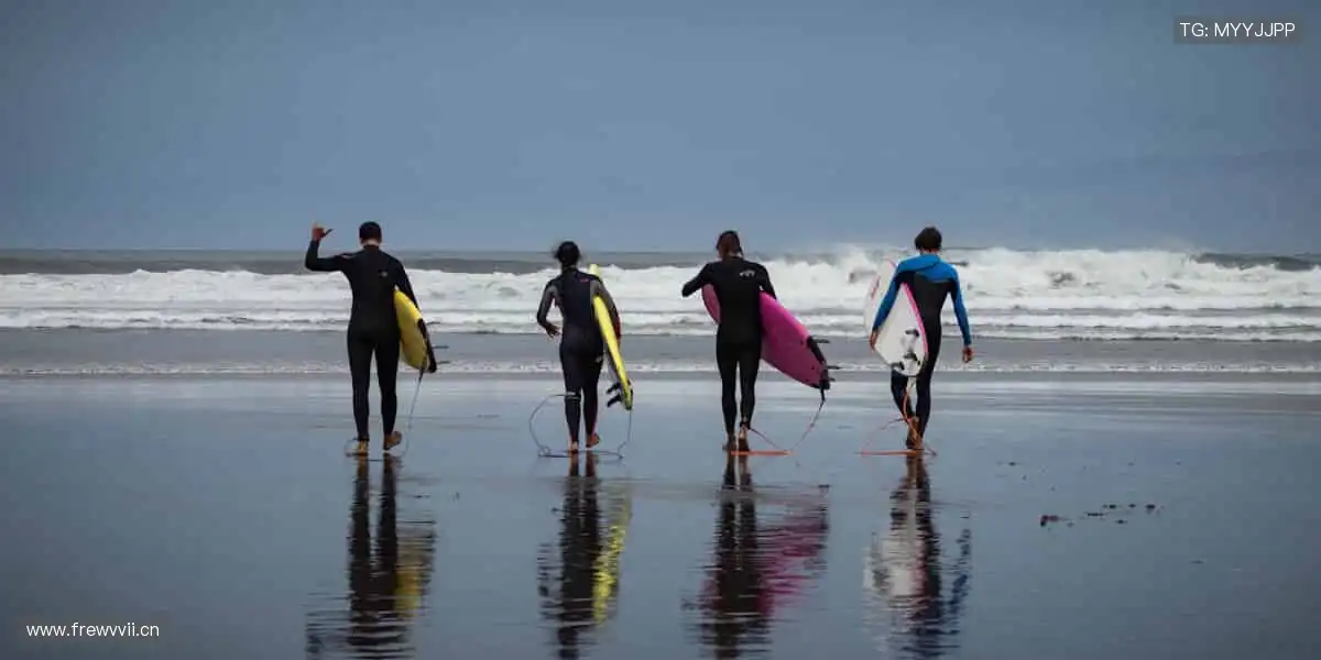 📱实时直播，一键解锁赛场心跳！